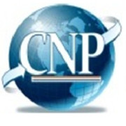 CNP IT SOLUTIONS